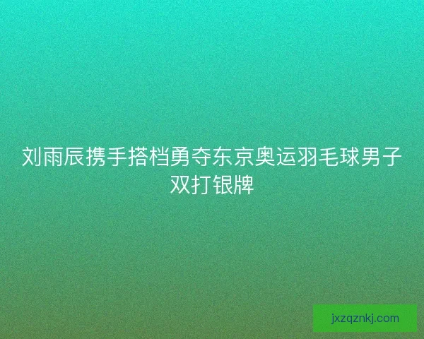 刘雨辰携手搭档勇夺东京奥运羽毛球男子双打银牌