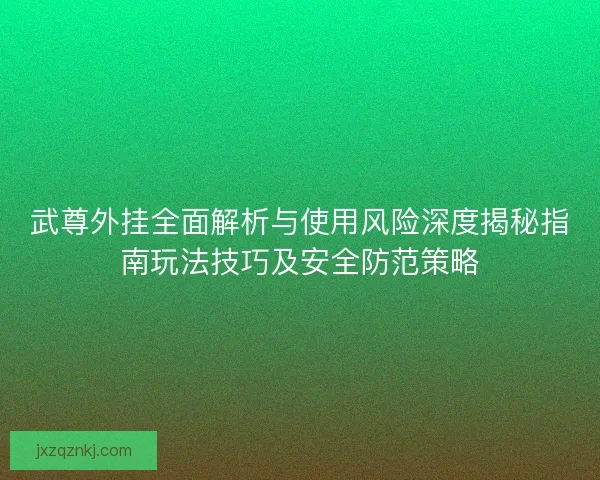 武尊外挂全面解析与使用风险深度揭秘指南玩法技巧及安全防范策略