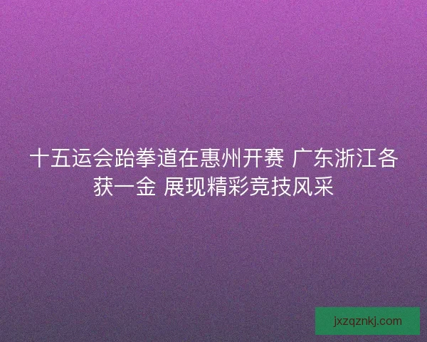 十五运会跆拳道在惠州开赛 广东浙江各获一金 展现精彩竞技风采